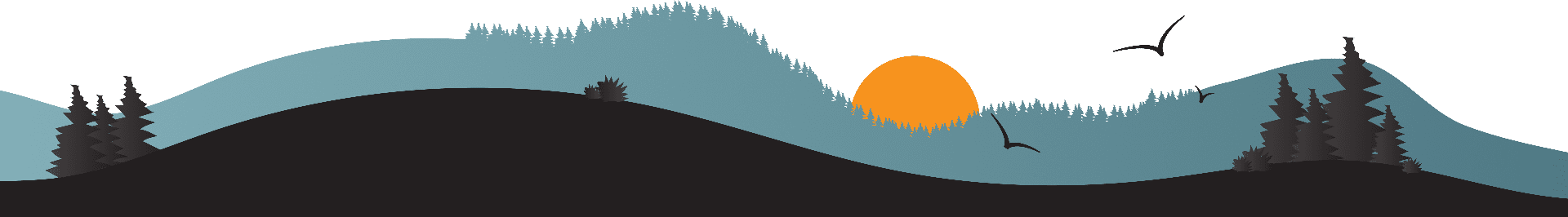 FAQs 2 footer bg