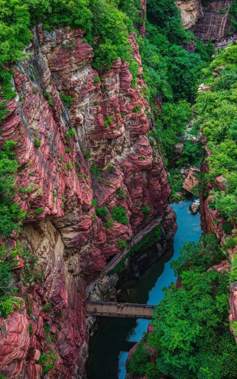 7f2052f2 ed1d 4d1a bbd0 b29be898f035